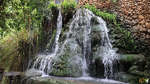 فيديو: انخفاض نسبة زوار الباذان في نابلس