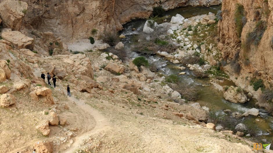 صورة 6