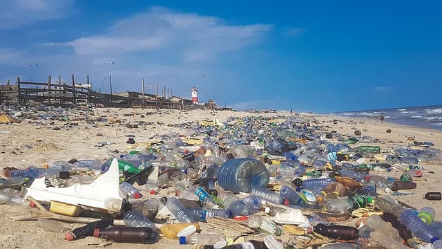 دراسة تقرع ناقوس الخطر حول الاستهلاك البشري للبلاستيك