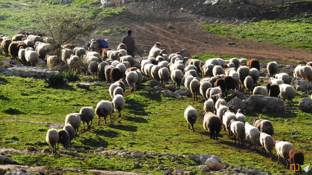 أجواء الربيع في خربة طانا